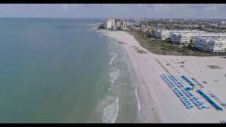 Toasted Monkey in St Pete Beach