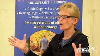 America's VetDogs Introduction