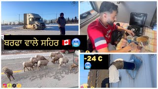 GOAT 🐐 LIFE 🇨🇦| -24 c 🥶| Kinda surrey wala #dailyvlog #punjabitruckdrivers