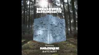 Drumsound \u0026 Basslinesmith feat. Hadouken! - Daylight (Tom Swoon Remix)