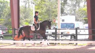 George Williams: 3 Exercises for Collecting the Canter