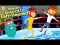 Why Are Some Of Us Left Handed? | Left Handedness | The Dr Binocs Show | Peekaboo Kidz