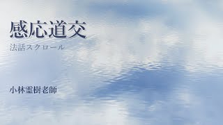 感応道交【法話・文章スクロール・無音】小林霊樹老師