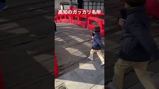 別にいいじゃない！高知のガッカリ名所！はりまや橋！