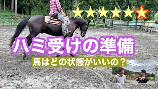 269.ハミ受けの準備と馬の状態