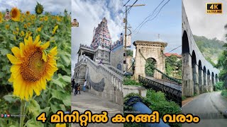 🌁തൂക്കുപാലത്തിൽ നിന്ന് 🎢കണ്ണറപ്പാലം വഴി🌻സുന്ദര പാണ്ടി പുരവും🛕തിരുമലക്കോവിലും |  Sundarapandiapuram