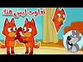 ترن ترن تررن 🎵 ثعلوب ليس هنا! – أغنية عن الصدق للأطفال