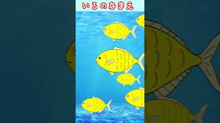 【水族館】いろのなまえをおぼえよう！！きいろのおさかな #Shorts