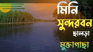 মিনি সুন্দরবন ছালড়া মুক্তাগাছা