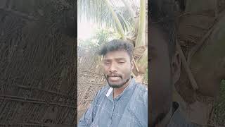 #புடிக்கலைன்னா மூஞ்சி மேல சொல்ற மூஞ்சி மேல# #YouTube sharts video#