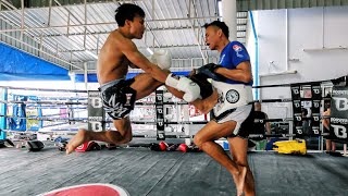 Muay Thai Technique with Lerdsila Phuket Top Team: Low Teep & Jab