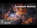 Zooming-in on the Tarantula Nebula with radio wavelengths