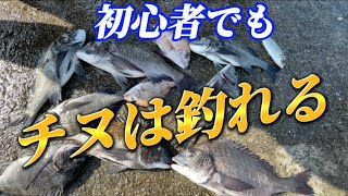 【チヌフカセ】チヌ初心者達と家島へ！初心者でもチヌは釣れます♪