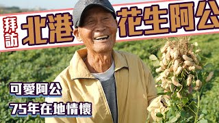 【尋農高手】拜訪北港花生阿公，一探花生烘烤流程！【ft.我爸種的】