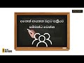 ශ්‍රී ලංකාවේ බල පෙරළිය ලංවිම ප්‍රතිව්‍යුහගත කිරීමේ සැලැස්ම ඇතුලේ කතාව 💡