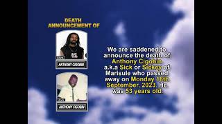 Anthony Cigobin short