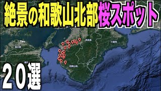 【２０選】和歌山北部の桜スポットはココに行けば間違いなし！