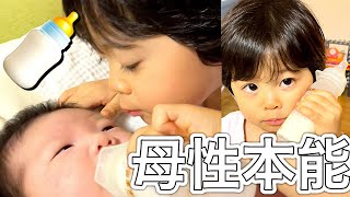 【長女とミルクと赤ちゃん】女の子は母性本能が凄い　２歳長女が赤ちゃん（妹）にミルクをあげます　#Shorts  良いお姉ちゃんになりそうだ