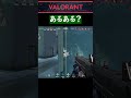 あるあるじゃなくて俺だけか？ valorant fps 下手 初心者 sg sr ゲーム ゲーム実況 やってみた