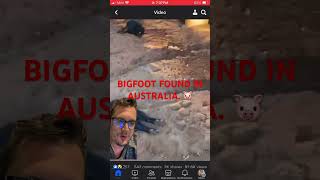 Bigfoot Found in Australia 🐷 | Yowie