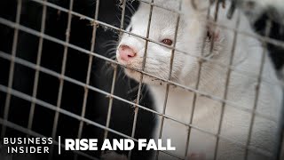 Can Real Fur Coats Make A Comeback? | Rise and Fall