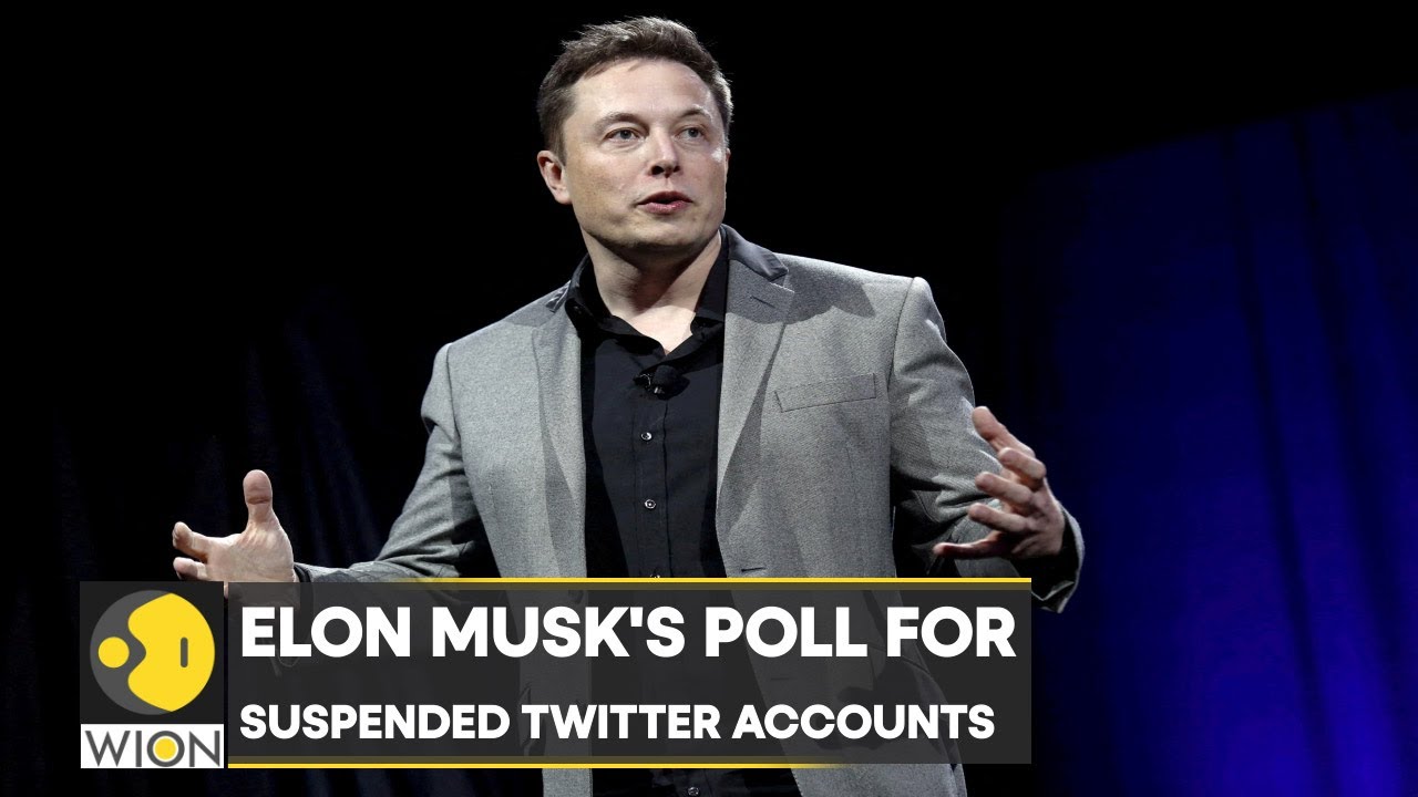 Elon Musk's 'amnesty' Announcement Followed Twitter Poll | English News ...