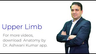 Arm Muscles and Shoulder Joints - Upper Limb Anatomy - Part 2