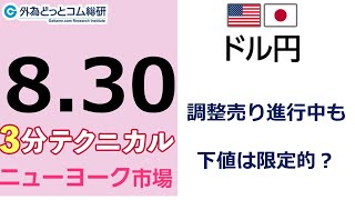 FX/為替予想  「ドル/円 、調整売り進行中も下値は限定的？」見通しズバリ！3分テクニカル分析 ニューヨーク市場の見通し　2022年8月30日