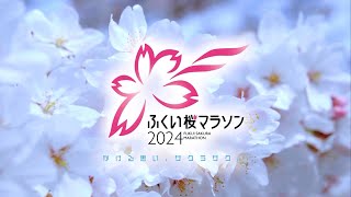 ふくい桜マラソン2024 ダイジェストPV