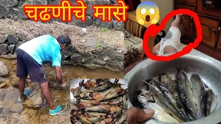 🐠चढणीचे मासे (चिवनी) पकडण्याची मज्जा🐠. मासे पकडताना नक्की पायाला काय झाल?