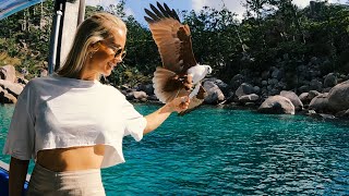 Diving the Great Barrier Reef // SS Yongala, Museum of Underwater Art and a friendly Brahminy Kite