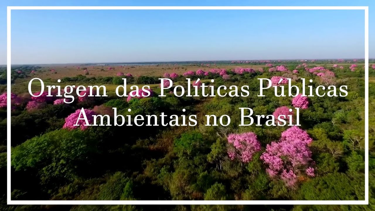 Origem Das Políticas Públicas Ambientais No Brasil | Série: Brasil ...