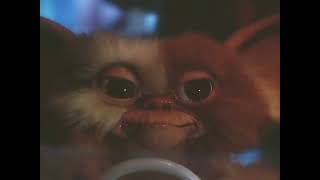 Gremlins 1 but only gizmo in the screen