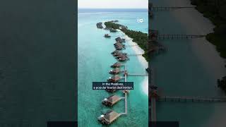 Countries push for new flight tax at COP30 | DW News
