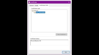 SSL Certificate on Local Area Network using Openssl and Node Js
