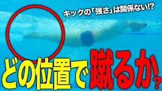 【バタフライ】キックの秘密を解説！マスターズ、選手、コーチみんな見てください！#157