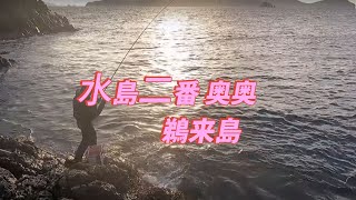 グレ釣り　鵜来島　水島二番　奥奥