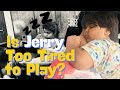 Is Jerry Too Tired to Play? Hilarious Sleepy Adventure Inside!| The Jerry Files