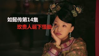 如懿传第14集 玫贵人诞下怪胎