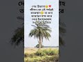 হায়াত কমে আসছে এই বিষয়ে চিন্তা করুন🥺🤲 adnan islamicstatus viralvideo waz2024 ওয়াজ_বাংলা like