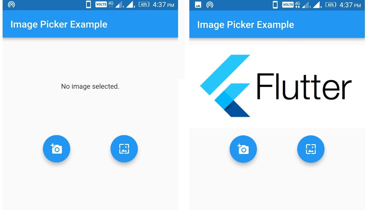 Flutter вставить картинку