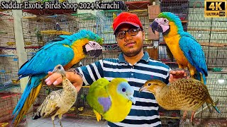 Saddar Amazing Birds and Parrots Market Karachi 2024 | Macaw Parrots and Other Rare and Ground Birds