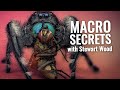 Shooting Bugs: The Art of Macro with Stewart Wood