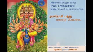 அவிநாசி பத்து வற்றாத பொய்கை பாடல் Avinashi Pathu Vatratha Poigai song lyrics #gnanaghanamlakshmi