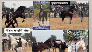 ਵਲੋਗ #3  Punjab Horse Show 2024 (ਸ਼੍ਰੀ ਮੁਕਤਸਰ ਸਾਹਿਬ) Mela Mahgi Da…