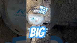 High Water Bill Leak - Check The Water Meter - Cape Coral Water Leak Diagnostic Plumber