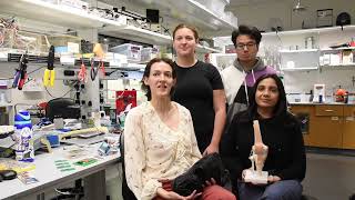 Spotlight on Cornell BME M.Eng. Design Team: Sensors for knee intraoperative measurements (SKIMs)