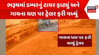 Bharuch Accident News : ભરૂચમાં ડમ્પરનું ટાયર ફાટ્યું અને ગાયના ધણ પર ટ્રેલર ફરી વળ્યું | News18