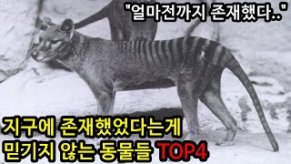 지구에 존재했었다는게 믿기지 않는 동물들 TOP4