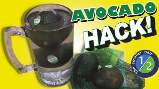 Avocado Hack Does it Work? How to Stop Avocados from spoiling